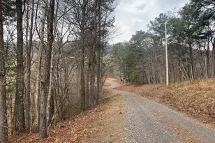 Lot 20 Wolf Ridge Ln, Murphy, NC 28906 - Photo 1