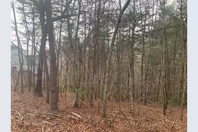 Lot 20 Wolf Ridge Lane, Murphy, NC 28906 - Photo 11