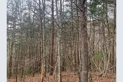 Lot 20 Wolf Ridge Lane, Murphy, NC 28906 - Photo 13