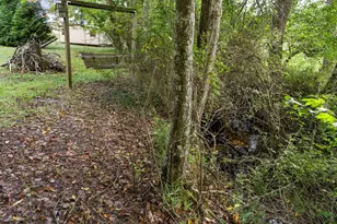 99 Chatuge Hills Dr, Hayesville, NC 28904 - Photo 35
