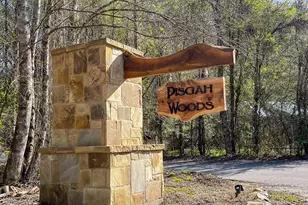 52 Bear Track Rd, Andrews, NC 28901 - Photo 37