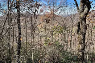 Lot 31J Ash Branch Rd, Hayesville, NC 28904 - Photo 1