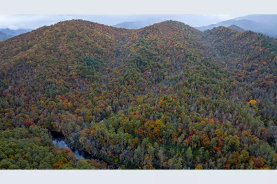 3549 Snowbird Road, Robbinsville, NC 28771 - Photo 13