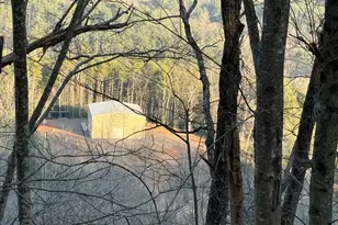 3530 Grape Creek Rd, Murphy, NC 28906 - Photo 3