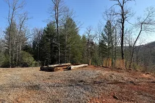 3530 Grape Creek Rd, Murphy, NC 28906 - Photo 39