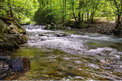 242 Eagles Roost Road, Bryson City, NC 28713 - Photo 29