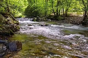 242 Eagles Roost Rd, Bryson City, NC 28713 - Photo 29