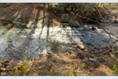 Lot 57 Fires Creek Cove, Hayesville, NC 28904 - Photo 13