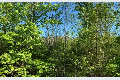 Lot 57 Fires Creek Cove, Hayesville, NC 28904 - Photo 3