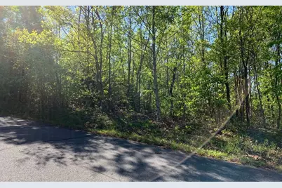 Lot 57 Fires Creek Cove, Hayesville, NC 28904 - Photo 17