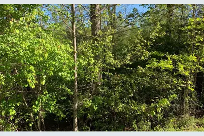 Lot 57 Fires Creek Cove, Hayesville, NC 28904 - Photo 19