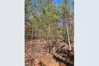 Lot 56C Indian Trail, Hayesville, NC 28904 - Photo 3