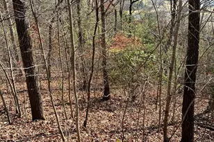 Lot 56C Indian Trail, Hayesville, NC 28904 - Photo 1