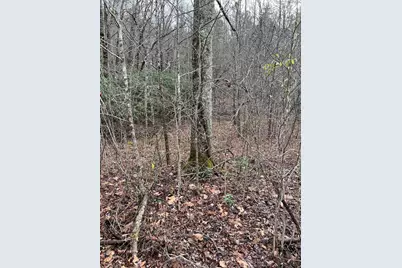 Lots 9, 10, 11, 15 & 17 Mary Lane, Hayesville, NC 28904 - Photo 11