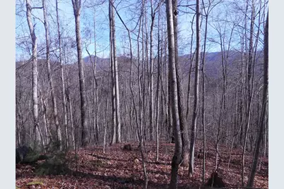 Sr 1218 Pinhook Road, Robbinsville, NC 28771 - Photo 11