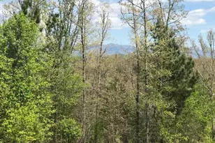 Lot 29 Brasstown View Rd, Murphy, NC 28906 - Photo 1