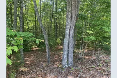 Lot 34 Point Overlook Trail, Murphy, NC 28906 - Photo 3