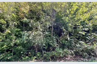 Lot 14 Mountain Harbour, Hayesville, NC 28904 - Photo 31