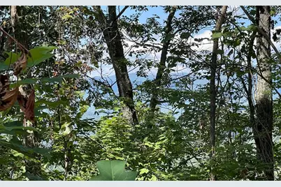 Lot 14 Mountain Harbour, Hayesville, NC 28904 - Photo 9