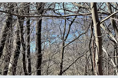 Lot 14 Mountain Harbour, Hayesville, NC 28904 - Photo 39