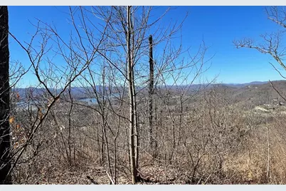 Lot 14 Mountain Harbour, Hayesville, NC 28904 - Photo 49