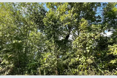 Lot 14 Mountain Harbour, Hayesville, NC 28904 - Photo 27