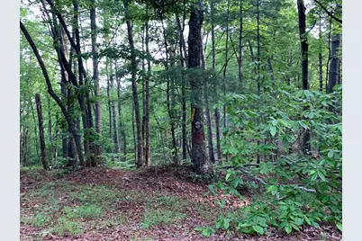 Lot 43 Kestrel Ridge Circle, Murphy, NC 28906 - Photo 21