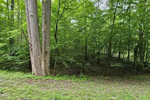 17 Lonesome Pine, Murphy, NC 28906 - Photo 1