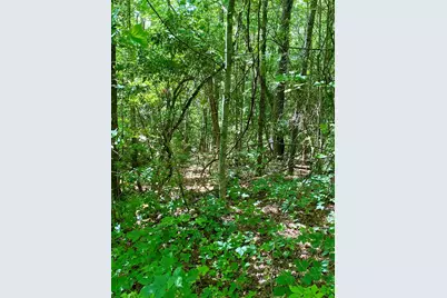 00 Deer Run, Robbinsville, NC 28771 - Photo 3
