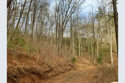 Lot 9 Ivy Log Road, Murphy, NC 28906 - Photo 3