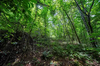 0 E Buffalo, Robbinsville, NC 28771 - Photo 5