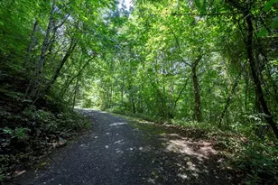 0 E Buffalo, Robbinsville, NC 28771 - Photo 1