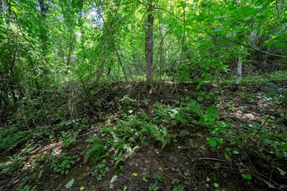 0 E Buffalo, Robbinsville, NC 28771 - Photo 3