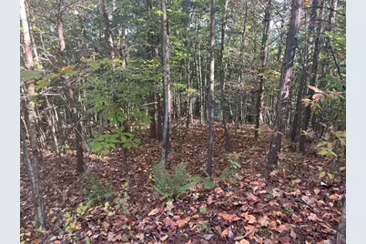 Lot 23 Trailblazer Way, Murphy, NC 28906 - Photo 3