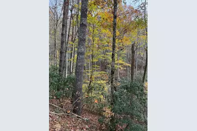 00 Heritage Trail, Murphy, NC 28906 - Photo 5