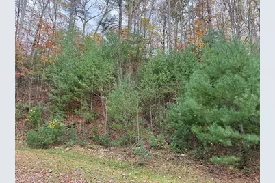 00 Heritage Trail, Murphy, NC 28906 - Photo 3