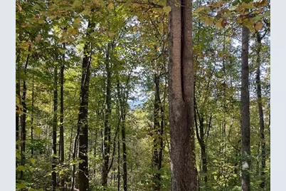 Lot 73 Hidden Treasure, Murphy, NC 28906 - Photo 25
