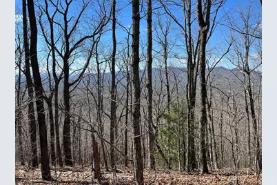 Tbd Treehouse Trail, Murphy, NC 28906 - Photo 1