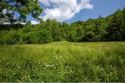 00 Peterson Road, Robbinsville, NC 28771 - Photo 3