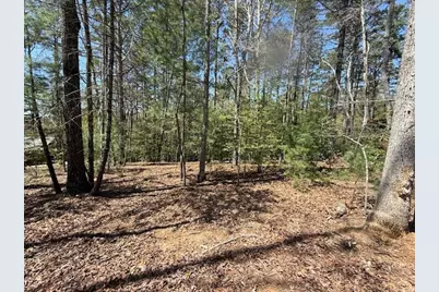 Lot 2 Lynae Lane, Murphy, NC 28906 - Photo 5