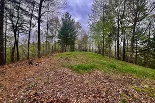 Tr1-23 Majestic Mountain Trail, Murphy, NC 28906 - Photo 1