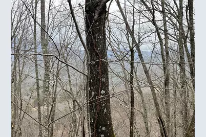 19 Lots Crockett, Hayesville, NC 28904 - Photo 5