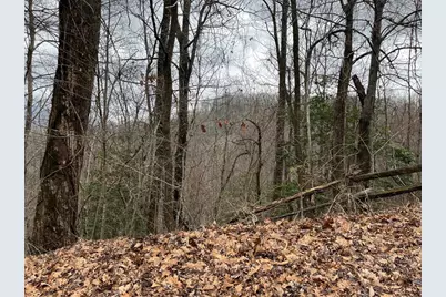 19 Lots Crockett, Hayesville, NC 28904 - Photo 31