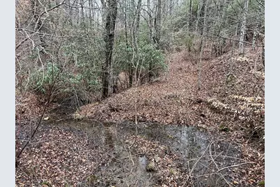 19 Lots Crockett, Hayesville, NC 28904 - Photo 49