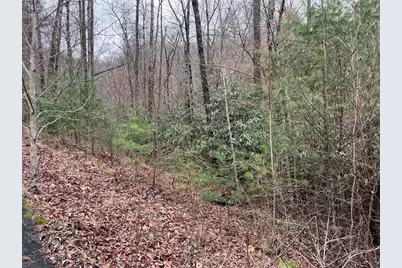 19 Lots Crockett, Hayesville, NC 28904 - Photo 53