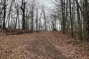 19 Lots Crockett, Hayesville, NC 28904 - Photo 1