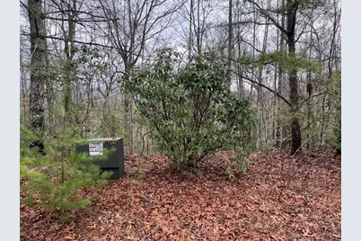 19 Lots Crockett, Hayesville, NC 28904 - Photo 41