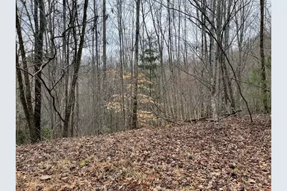 19 Lots Crockett, Hayesville, NC 28904 - Photo 67