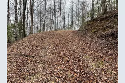 19 Lots Crockett, Hayesville, NC 28904 - Photo 63