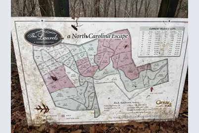 19 Lots Crockett, Hayesville, NC 28904 - Photo 21